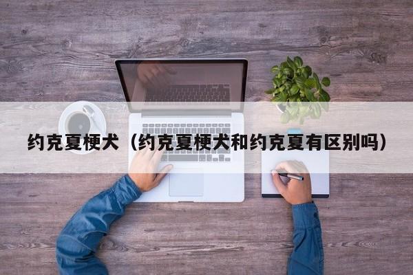 约克夏梗犬（约克夏梗犬和约克夏有区别吗）