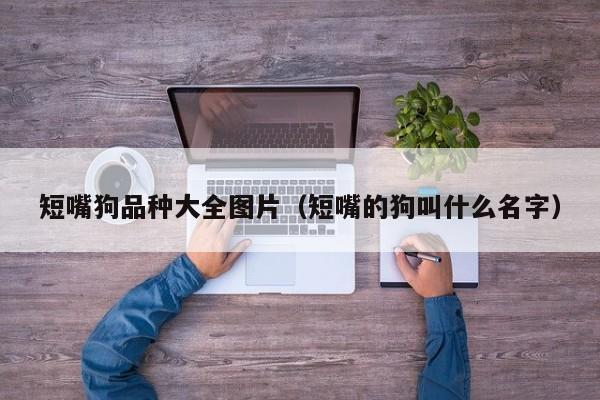 短嘴狗品种大全图片（短嘴的狗叫什么名字）