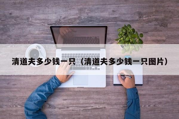 清道夫多少钱一只（清道夫多少钱一只图片）