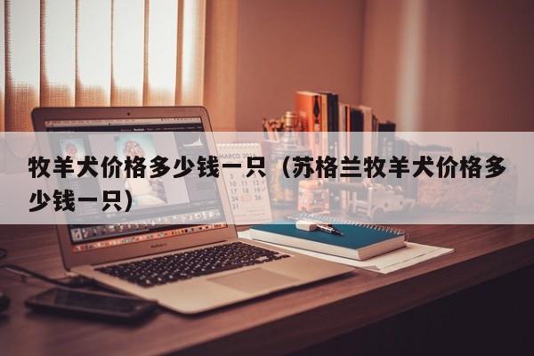 牧羊犬价格多少钱一只（苏格兰牧羊犬价格多少钱一只）