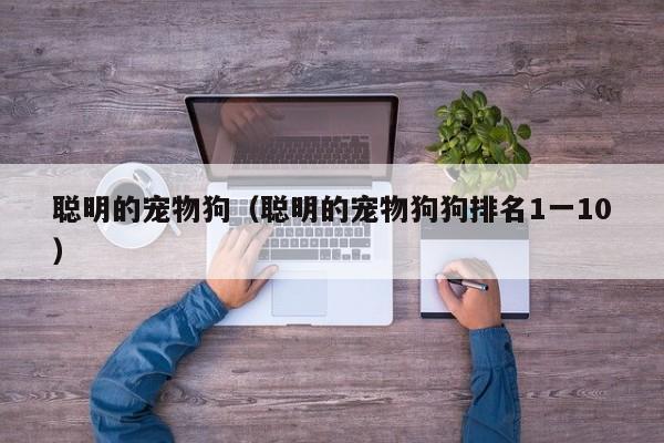 聪明的宠物狗（聪明的宠物狗狗排名1一10）