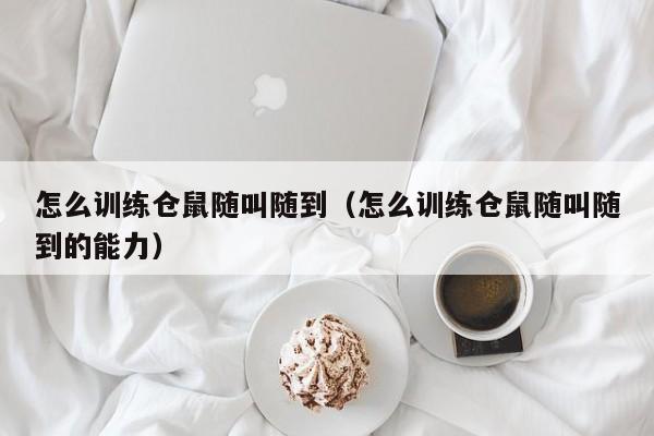 怎么训练仓鼠随叫随到（怎么训练仓鼠随叫随到的能力）