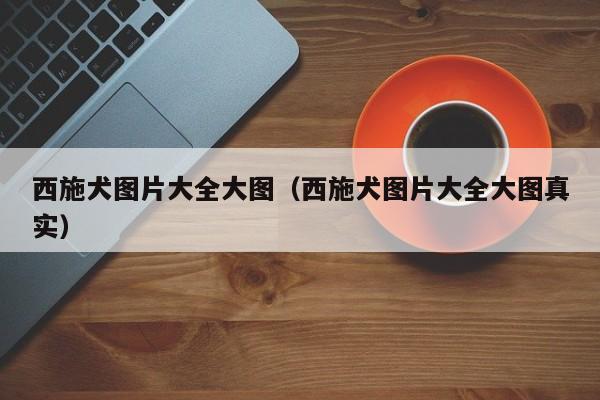 西施犬图片大全大图（西施犬图片大全大图真实）