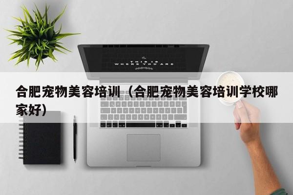 合肥宠物美容培训（合肥宠物美容培训学校哪家好）