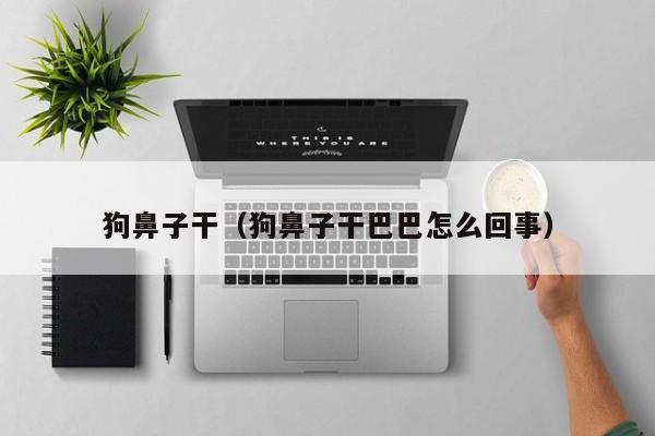 狗鼻子干（狗鼻子干巴巴怎么回事）