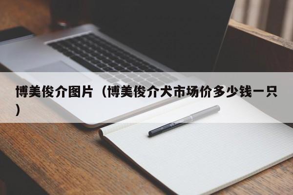 博美俊介图片（博美俊介犬市场价多少钱一只）