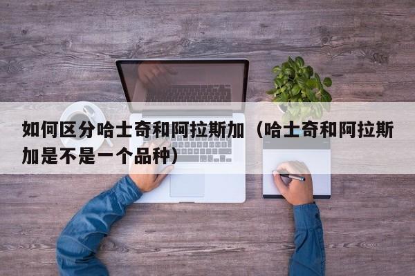 如何区分哈士奇和阿拉斯加（哈士奇和阿拉斯加是不是一个品种）