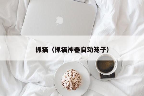 抓猫（抓猫神器自动笼子）