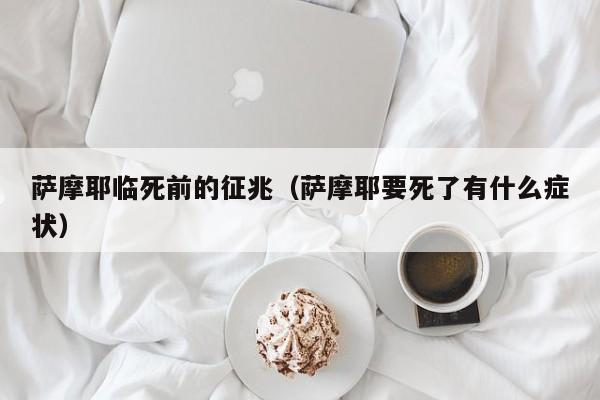 萨摩耶临死前的征兆（萨摩耶要死了有什么症状）