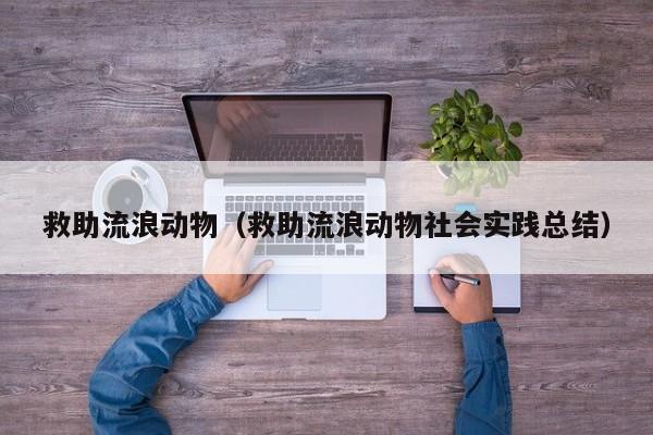 救助流浪动物（救助流浪动物社会实践总结）