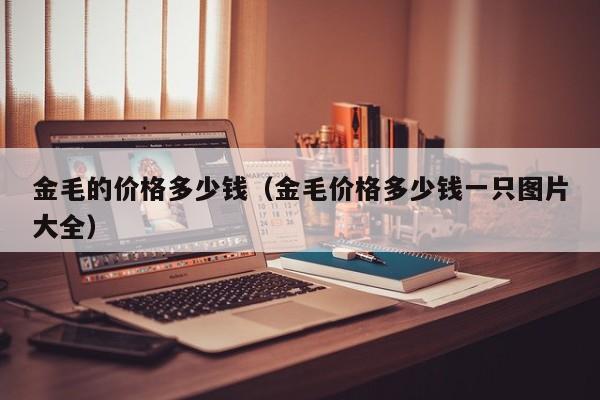 金毛的价格多少钱（金毛价格多少钱一只图片大全）