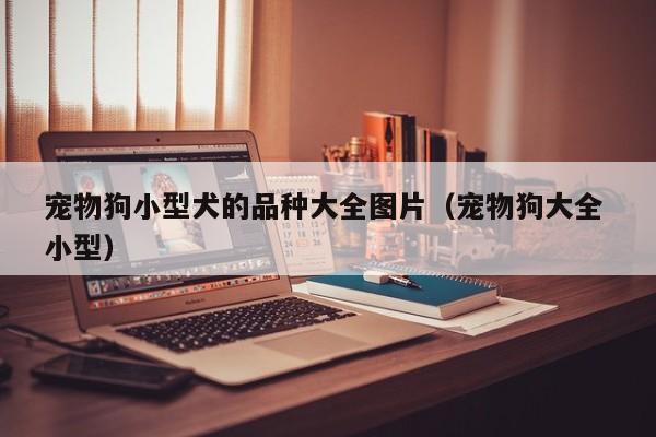 宠物狗小型犬的品种大全图片（宠物狗大全 小型）