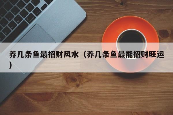 养几条鱼最招财风水（养几条鱼最能招财旺运）