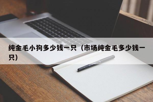 纯金毛小狗多少钱一只（市场纯金毛多少钱一只）