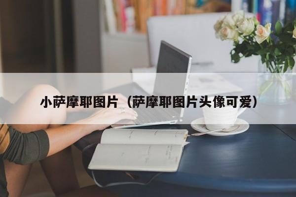 小萨摩耶图片（萨摩耶图片头像可爱）