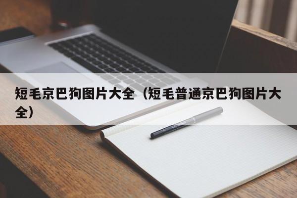 短毛京巴狗图片大全（短毛普通京巴狗图片大全）