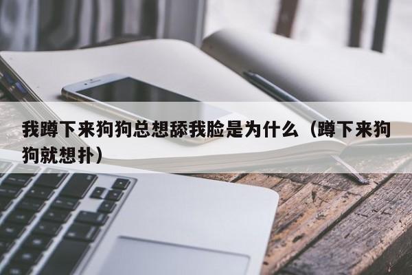 我蹲下来狗狗总想舔我脸是为什么（蹲下来狗狗就想扑）
