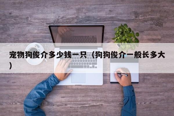 宠物狗俊介多少钱一只（狗狗俊介一般长多大）