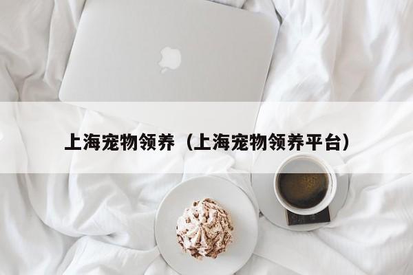 上海宠物领养（上海宠物领养平台）
