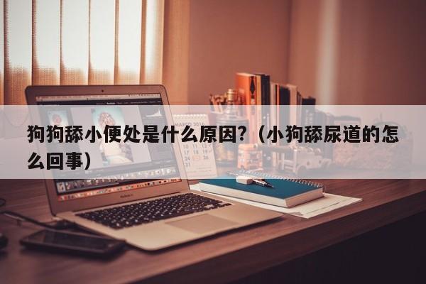 狗狗舔小便处是什么原因?（小狗舔尿道的怎么回事）