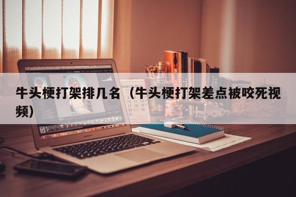 牛头梗打架排几名（牛头梗打架差点被咬死视频）