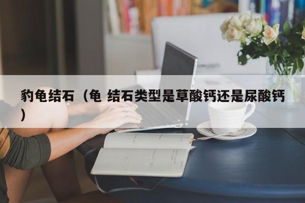 豹龟结石（龟 结石类型是草酸钙还是尿酸钙）