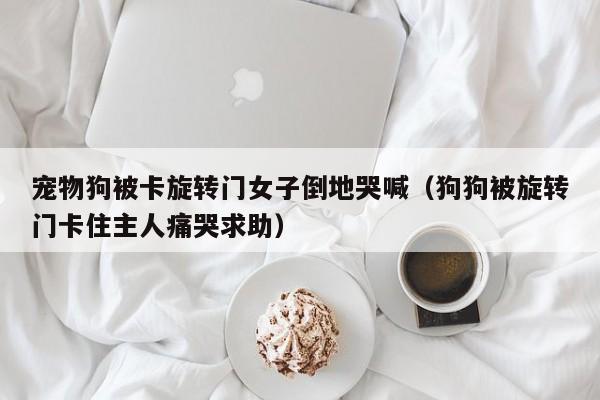 宠物狗被卡旋转门女子倒地哭喊（狗狗被旋转门卡住主人痛哭求助）
