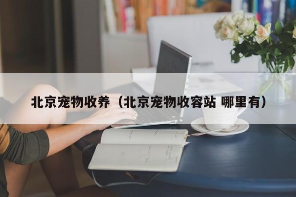 北京宠物收养（北京宠物收容站 哪里有）