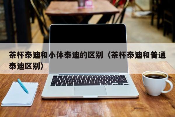 茶杯泰迪和小体泰迪的区别（茶杯泰迪和普通泰迪区别）