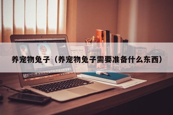养宠物兔子（养宠物兔子需要准备什么东西）