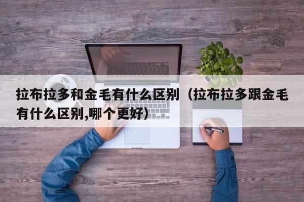 拉布拉多和金毛有什么区别（拉布拉多跟金毛有什么区别,哪个更好）