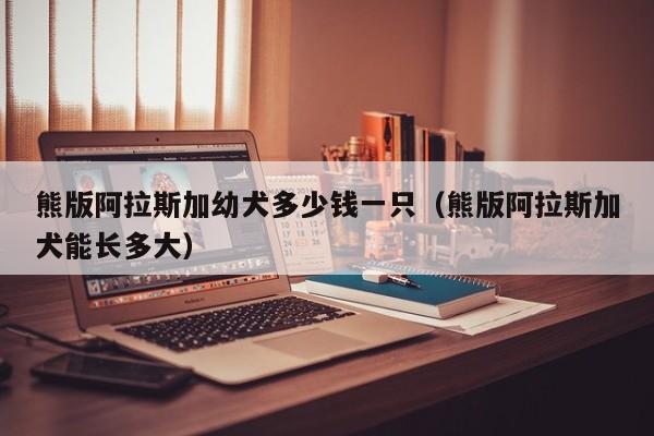 熊版阿拉斯加幼犬多少钱一只（熊版阿拉斯加犬能长多大）
