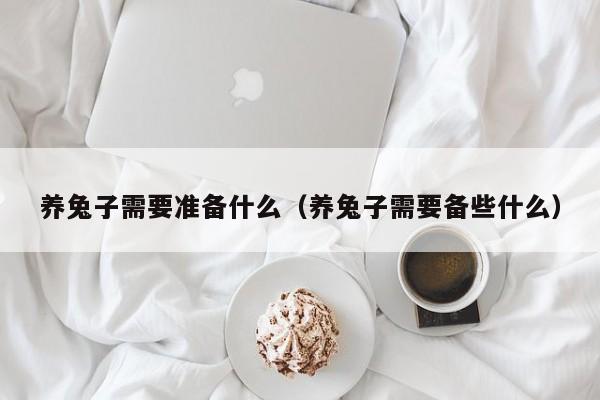 养兔子需要准备什么（养兔子需要备些什么）