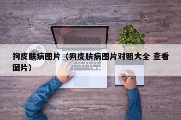 狗皮肤病图片（狗皮肤病图片对照大全 查看图片）