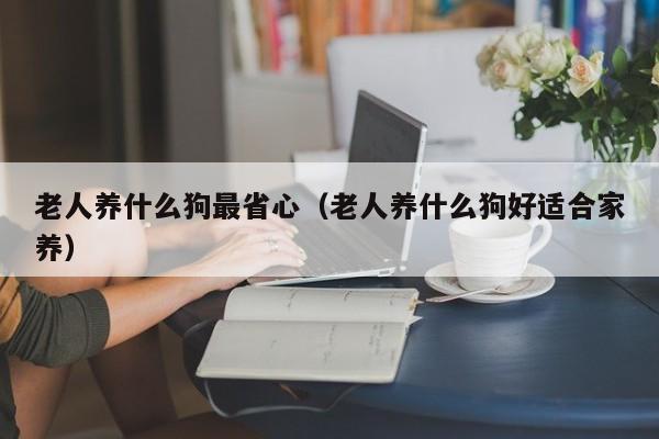 老人养什么狗最省心（老人养什么狗好适合家养）