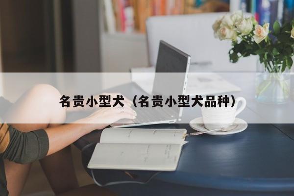 名贵小型犬（名贵小型犬品种）