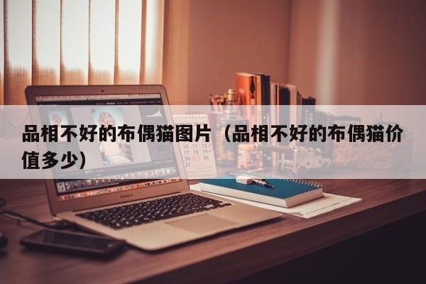 品相不好的布偶猫图片（品相不好的布偶猫价值多少）