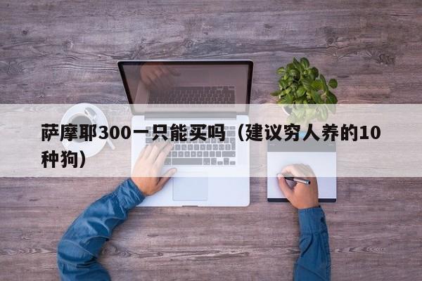 萨摩耶300一只能买吗（建议穷人养的10种狗）