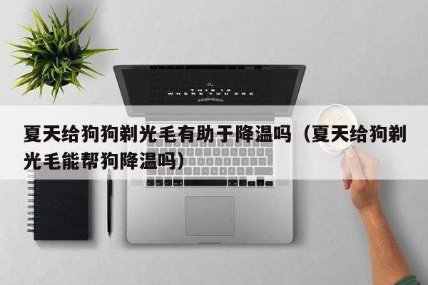 夏天给狗狗剃光毛有助于降温吗（夏天给狗剃光毛能帮狗降温吗）
