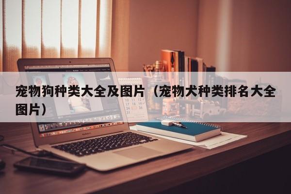 宠物狗种类大全及图片（宠物犬种类排名大全图片）