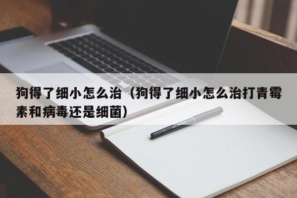 狗得了细小怎么治（狗得了细小怎么治打青霉素和病毒还是细菌）