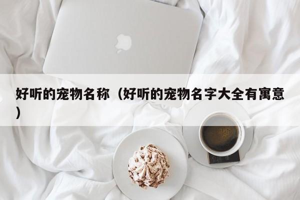 好听的宠物名称（好听的宠物名字大全有寓意）