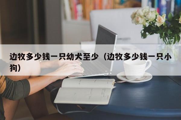 边牧多少钱一只幼犬至少（边牧多少钱一只小狗）