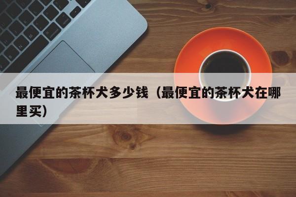 更便宜的茶杯犬多少钱（更便宜的茶杯犬在哪里买）