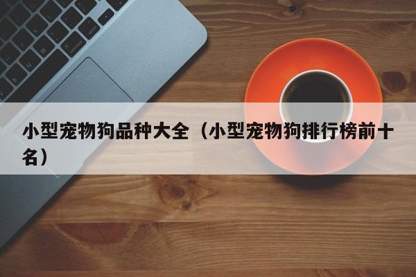 小型宠物狗品种大全（小型宠物狗排行榜前十名）
