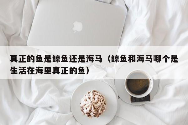 真正的鱼是鲸鱼还是海马（鲸鱼和海马哪个是生活在海里真正的鱼）