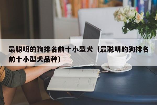 最聪明的狗排名前十小型犬（最聪明的狗排名前十小型犬品种）