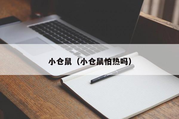 小仓鼠（小仓鼠怕热吗）