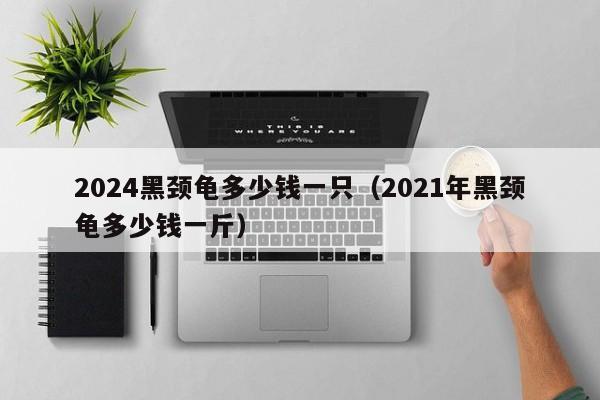 2024黑颈龟多少钱一只（2021年黑颈龟多少钱一斤）