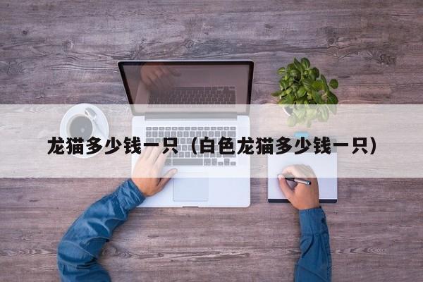龙猫多少钱一只（白色龙猫多少钱一只）